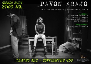 pavon abajo afiche